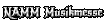 �������������� ����� � ����������� �������� NAMM Musikmesse Russia 2013 � ������ - �� ������ Amtor's Seine
