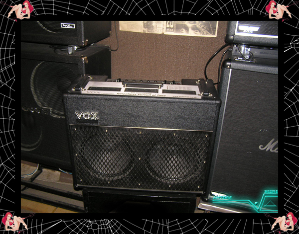 �������� ������ Vox �� ������ ����������� Amtors Seine